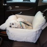 Puppy car seat - pet dog height increasing seat with clip on safety belt, detachable and washable dog and cat travel bed, suitable for small and medium-sized pet dogs, portable dog travel carrying bed