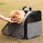 Must-Have Pet Stroller Backpack! 2-in-1 Carrier For Cats & Small Dogs, Large Foldable With Dual-Door Ventilation
