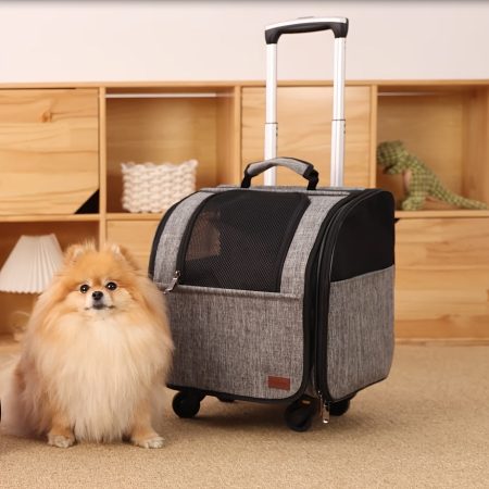 Pet Backpack & Stroller Combo The Ultimate Travel Carrier For Cats & Small Dogs, Large Foldable Breathable