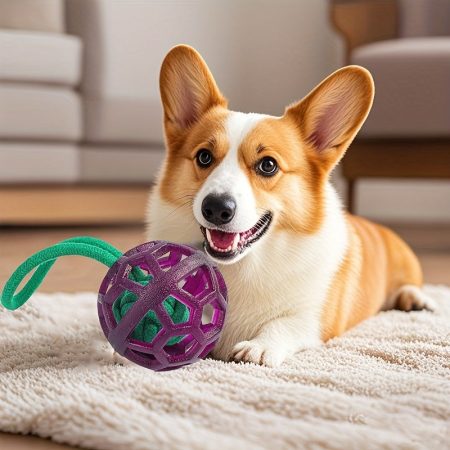 Two Durable Dog Training Balls, Rope Dog Ball Toys, Exercise And Reward Dog Chewing Training, Indoor And Outdoor Game Interaction. Suitable For Small And Medium-sized Dogs, Purple Orange, Without Battery